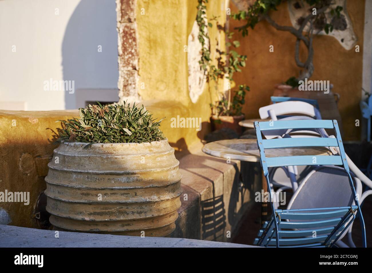 Der horizontale Schuss der grünen Pflanze im Topf und Ein Stuhl aus blauem Metall, der sich auf einem braunen Holztisch stützt Stockfoto