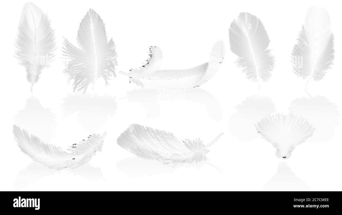 Realistische weiche weiße Federn auf glänzendem Hintergrund. White Bird Falling Feather Set Vektor-Illustration Stock Vektor
