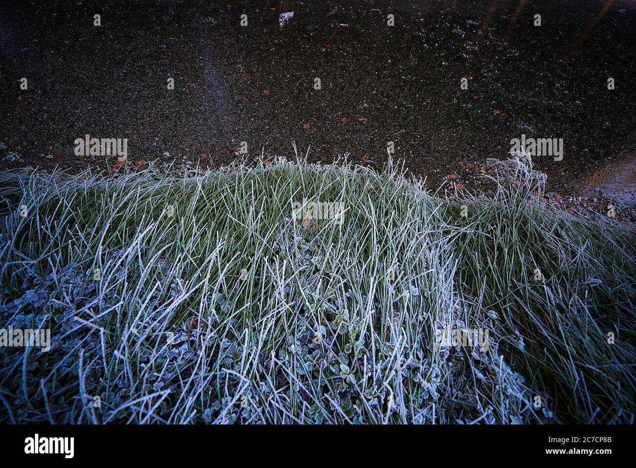 Vertikale Aufnahme von grünem Gras und einem schlammigen Boden bei Nachts Stockfoto