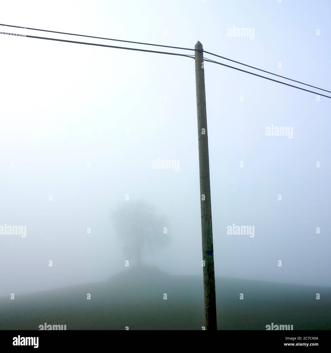 Nebel umhüllt die Landschaft mit einsamem Baum und Hochmast vor gedämpfter Kulisse, Frankreich Stockfoto