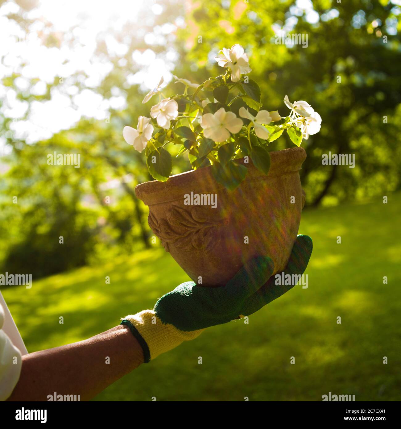 Frau mit einem Blumentopf aus Kunststoff Stockfoto