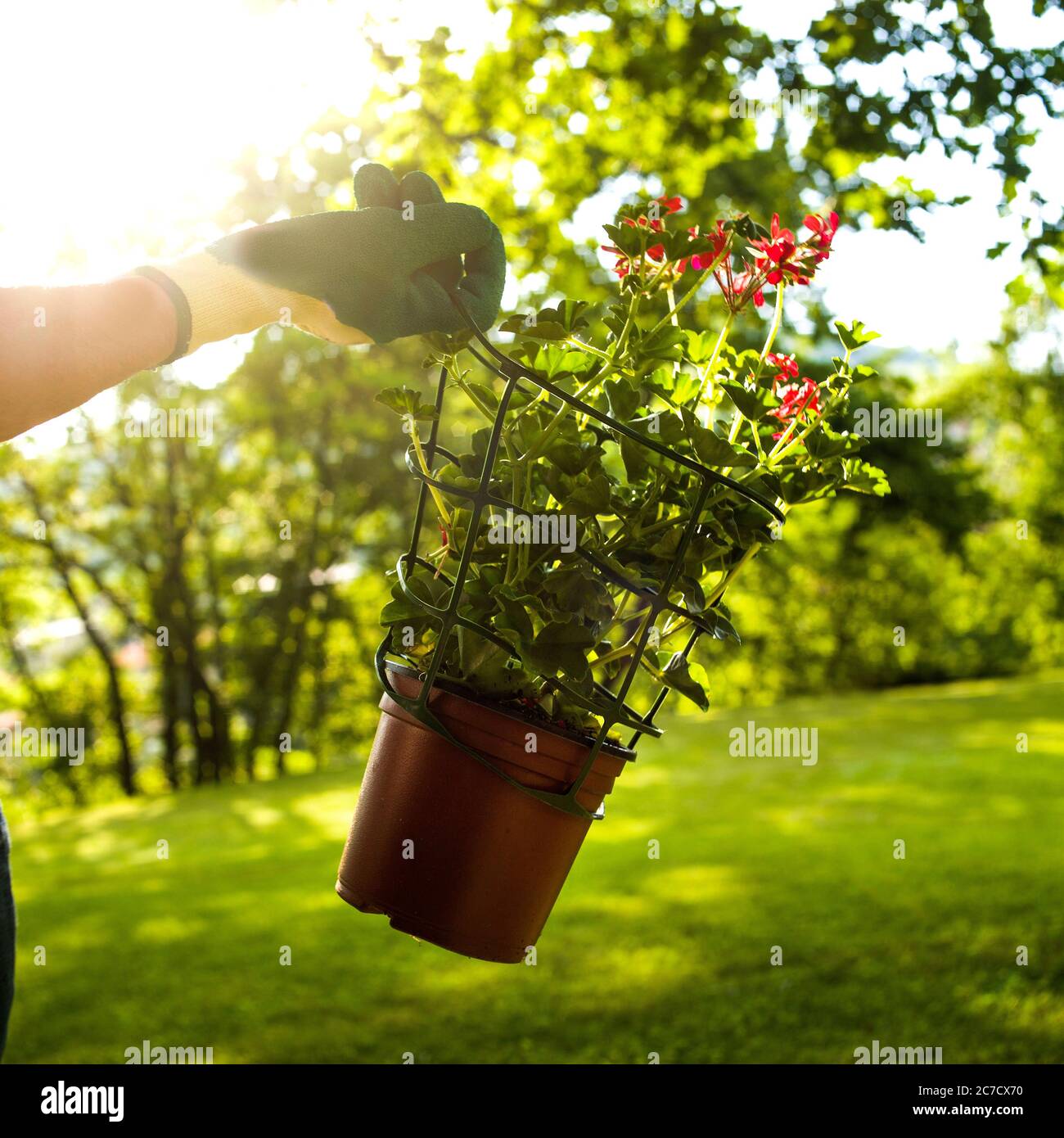 Frau mit einem Blumentopf aus Kunststoff Stockfoto