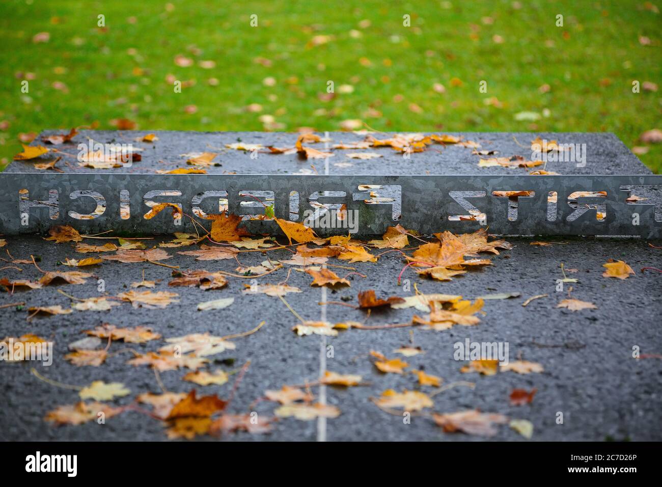 Herbst Ahorn Blätter Close-up auf dem Tisch. Hintergrund mit Namen Fritz Friedrich. Lage: Ferienort Altaussee, Liezen Bezirk Styr Stockfoto