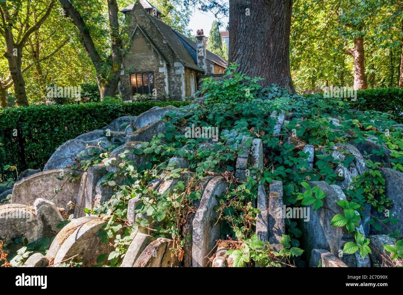 Die Hardy Baum im Alten St Pancras Grabstätte. Grabsteine von Thomas Hardy, wenn ein Gutachter im neunzehnten Jahrhundert bewegt. Stockfoto