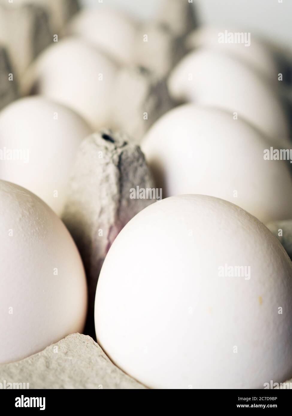 Ein Tablett mit weißen Eiern Stockfoto
