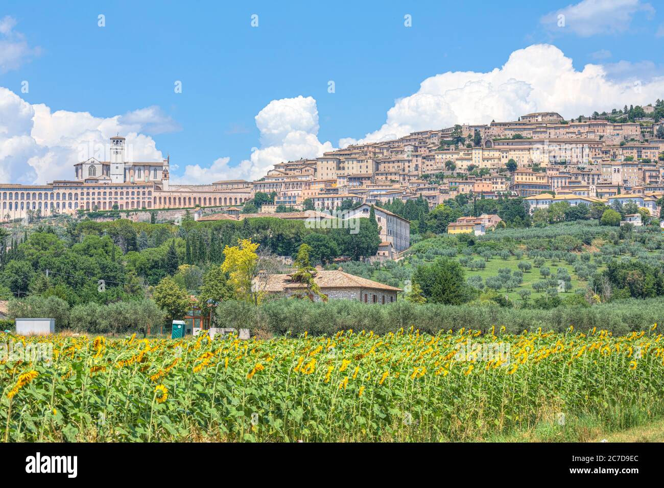 Assisi, Umbrien, Italien, Europa Stockfoto