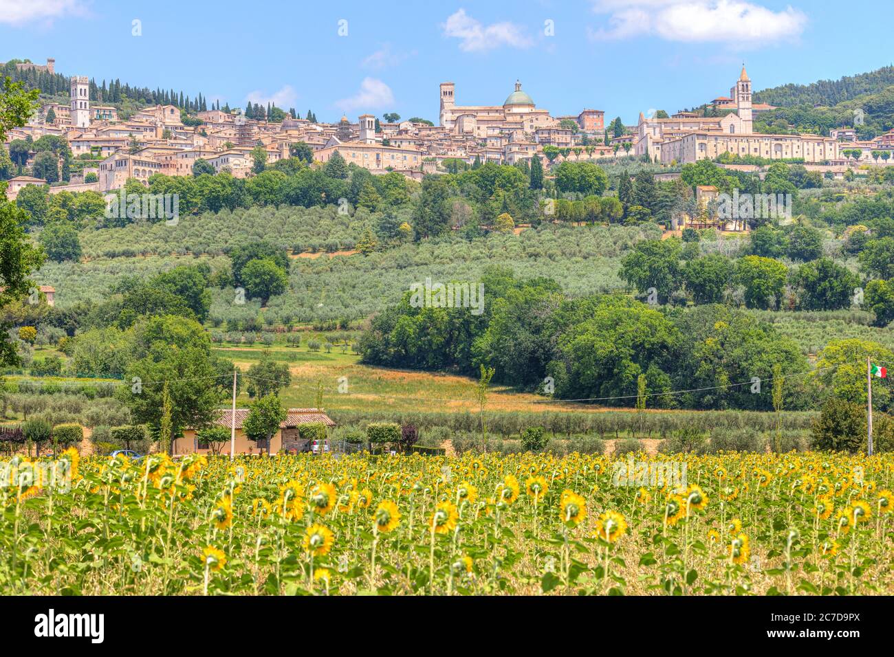 Assisi, Umbrien, Italien, Europa Stockfoto