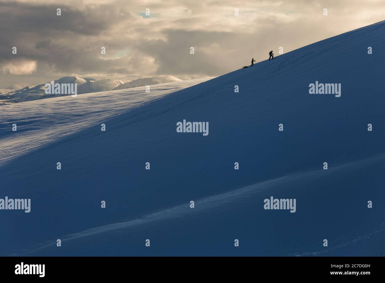 Breite Aufnahme von zwei Personen und ein Hund klettern die Berg bedeckt mit Schnee unter dem wolkigen Himmel Stockfoto