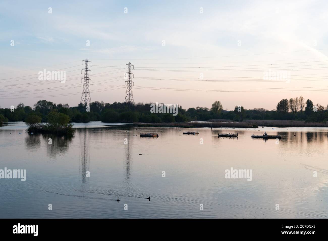 Zwei Masten und zwei Enten in der Nähe des Hooksmarsh Lake im Lee Valley Country Park in der Nähe von Cheshunt, Hertfordshire, England, Großbritannien Stockfoto