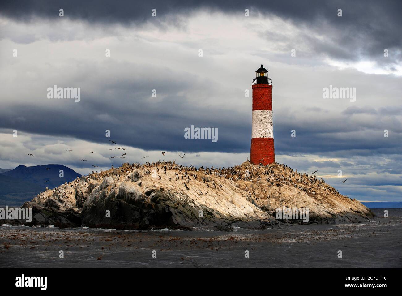 Leuchtturm Éclaireurs im Beagle Kanal, Ushuaia, Feuerland, Patagonien, Argentinien, Südamerika Stockfoto
