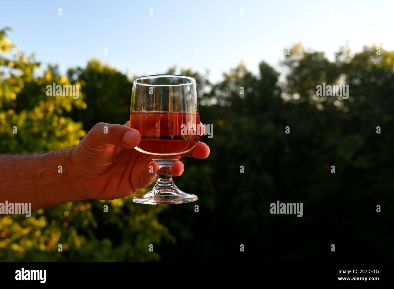 Mann hält ein Glas Wein in einer natürlichen Umgebung Stockfoto
