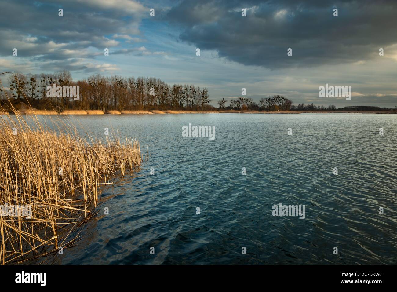 Sanfte Wellen auf dem See und wolkiger Himmel, Blick in den kalten Tag Stockfoto