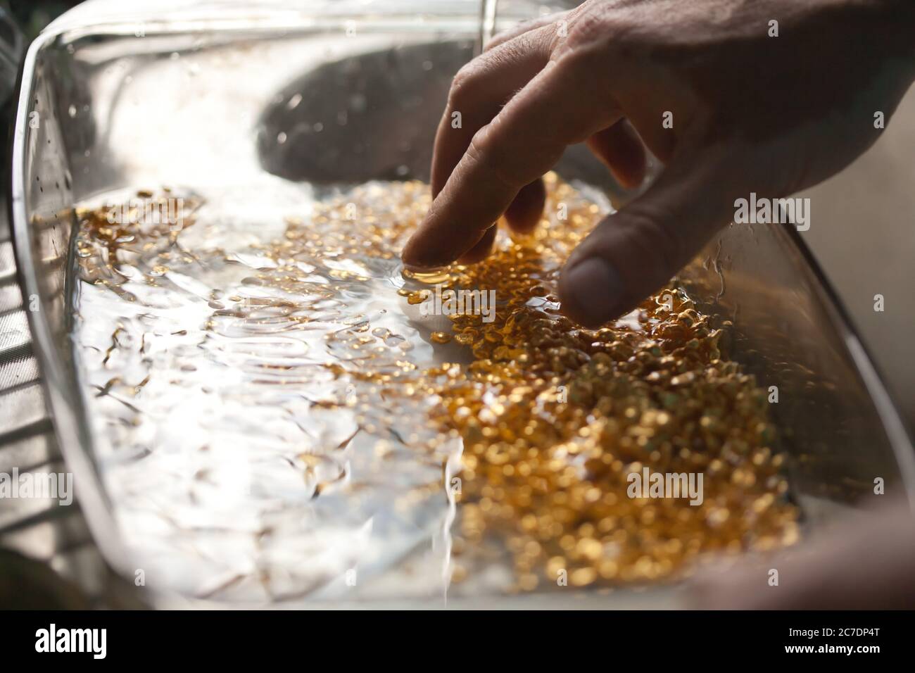 Nahaufnahme von Barren aus gelbem Gold, die nach dem Schmelzen mit den Händen im Wasser waschen Stockfoto