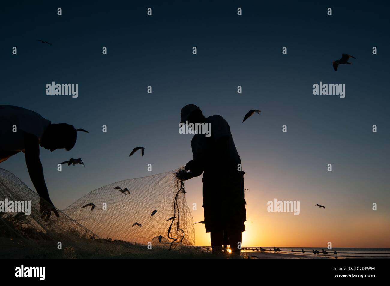 Zwei Fischer bei Sonnenuntergang am Strand reinigen die Fischernetze - im Hintergrund der bunte Himmel und Möwen im Flug - Holbox Island, Mexiko Stockfoto