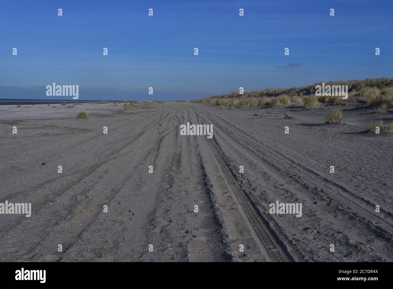 Spuren von Autoreifen am Sandstrand am Meer. Sommer. Stockfoto