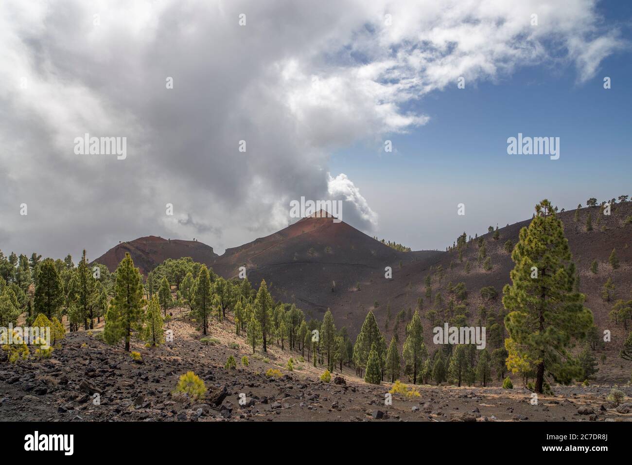 Vulkanroute auf der Insel La Palma Stockfoto