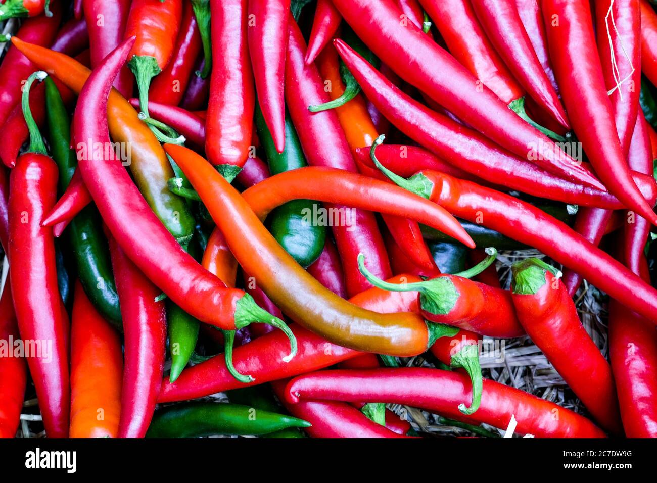 Frische rote Chili-Gruppe auf der Draufsicht, Gemüse zum Kochen, die einen würzigen Geschmack geben, rote Chili-Pfeffer Textur Hintergrund Stockfoto
