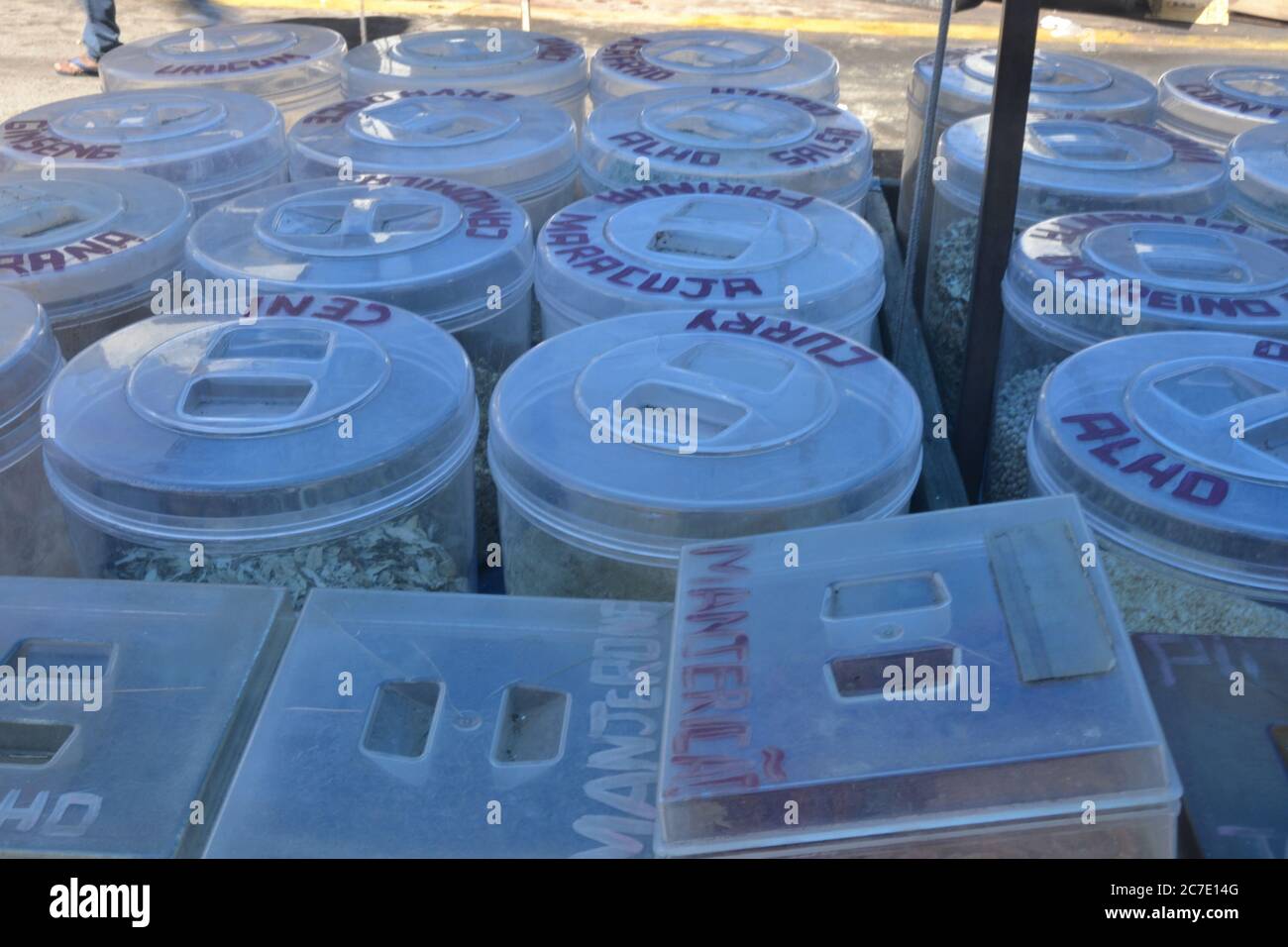 Kunststofftopf, mit verschiedenen Arten von Gewürzen typisch für Brasilien, zum Verkauf auf Straßenmessen in Brasilien, vom Landwirt bis zum Verbraucher, Brasilien, Südamerika, Foto Stockfoto