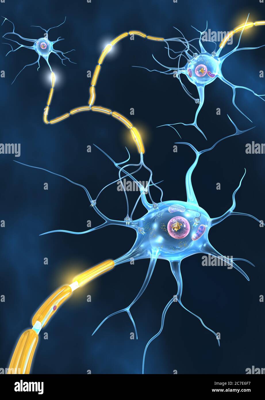 Aktive Nervenzellen verbreiten ein Signal auf einem Axon zur nächsten Zelle. Stockfoto