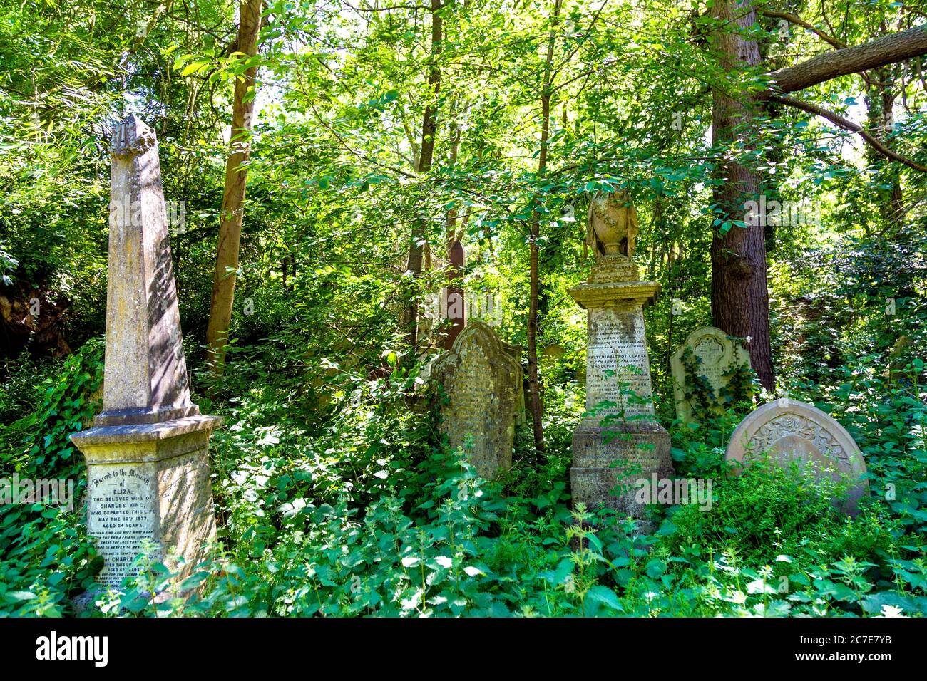 Graves at Abney Park, einer der prächtigen Sieben viktorianischen Friedhöfe, Stoke Newington, London, Großbritannien Stockfoto