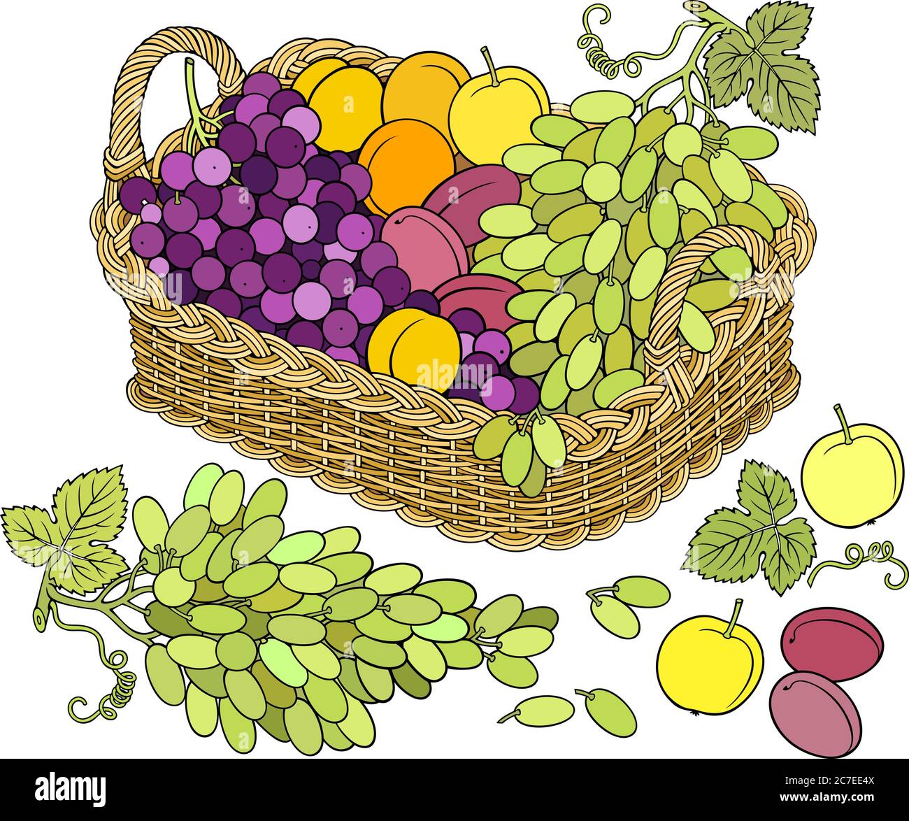 Trauben und Pfirsiche im Korb. Cartoon-Illustration Stock Vektor