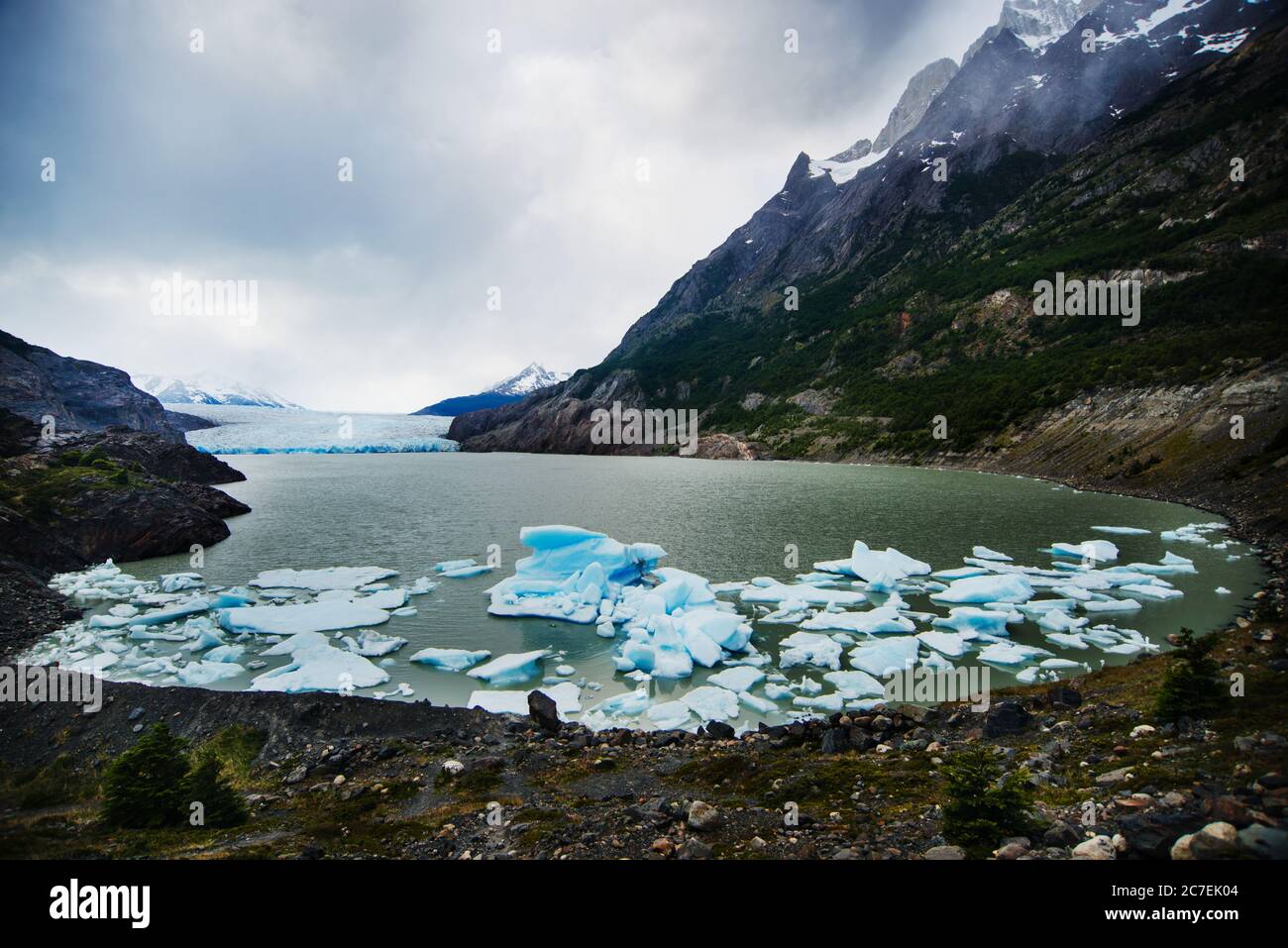 Grey Glacier lago grey, Torres Del Paine Nationalpark, Chile, Patagonien, Südamerika Stockfoto