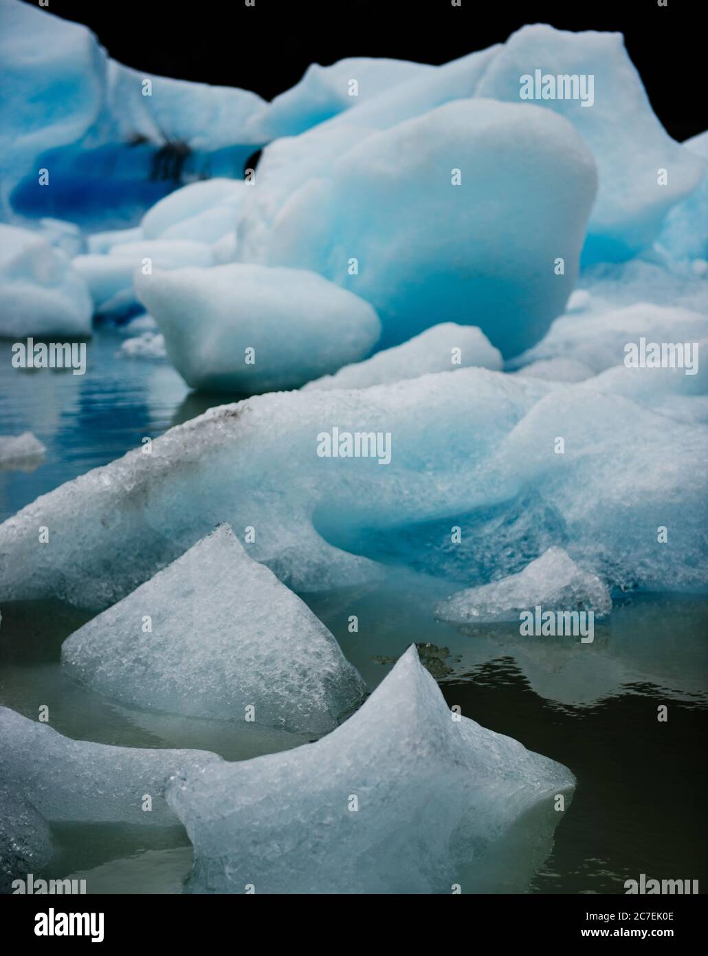 Stücke von Grey Glacier lago grey, Torres Del Paine Nationalpark, Chile, Patagonien, Südamerika Stockfoto