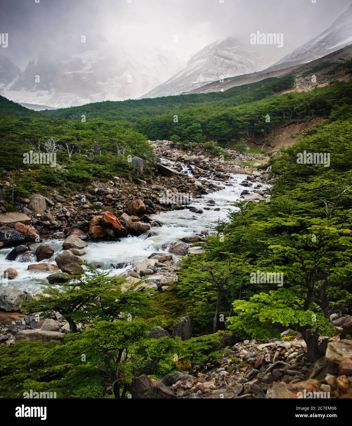 Stream läuft durch Torres Del Paine Nationalpark, Chile, Patagonien, Südamerika Stockfoto
