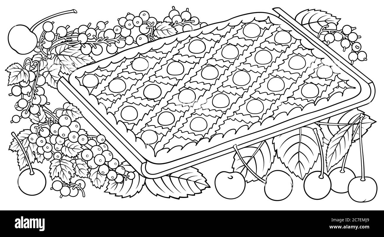 Kuchen, Beeren, Früchte handgezeichnete Illustration Stock Vektor