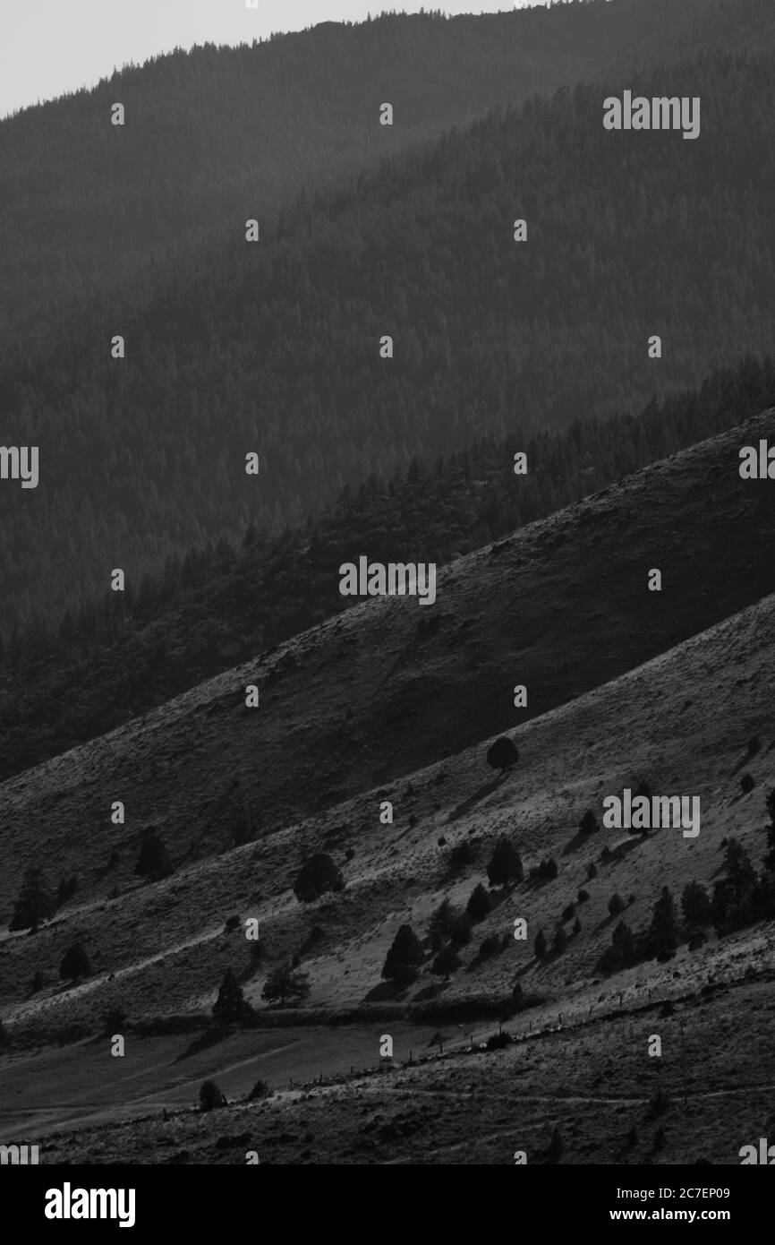 Vertikale Aufnahme von bewaldeten Bergen in schwarz und weiß Stockfoto