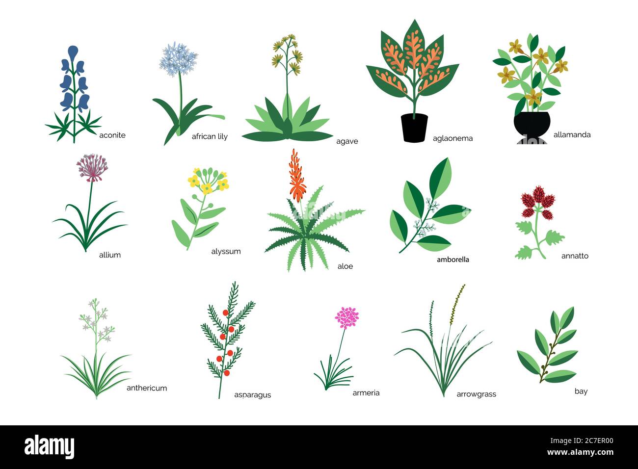 Isolierte Pflanzen Einfache Icons Sammlung Stock Vektor