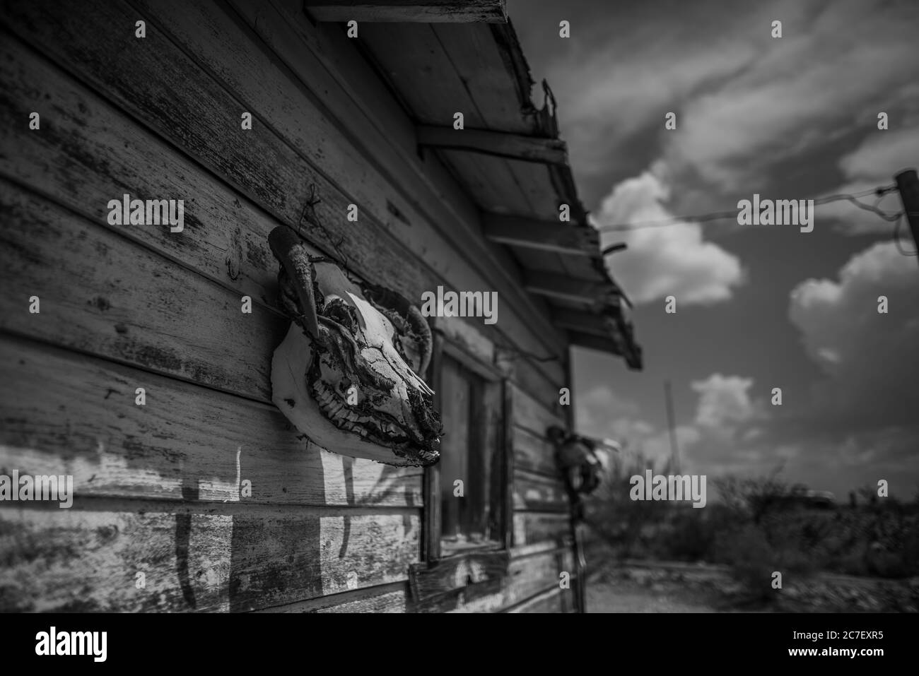 Horizontale Graustufenaufnahme eines Ziegenschädels, der an einem hängt Holzhütte auf der Route 66 Straße Stockfoto