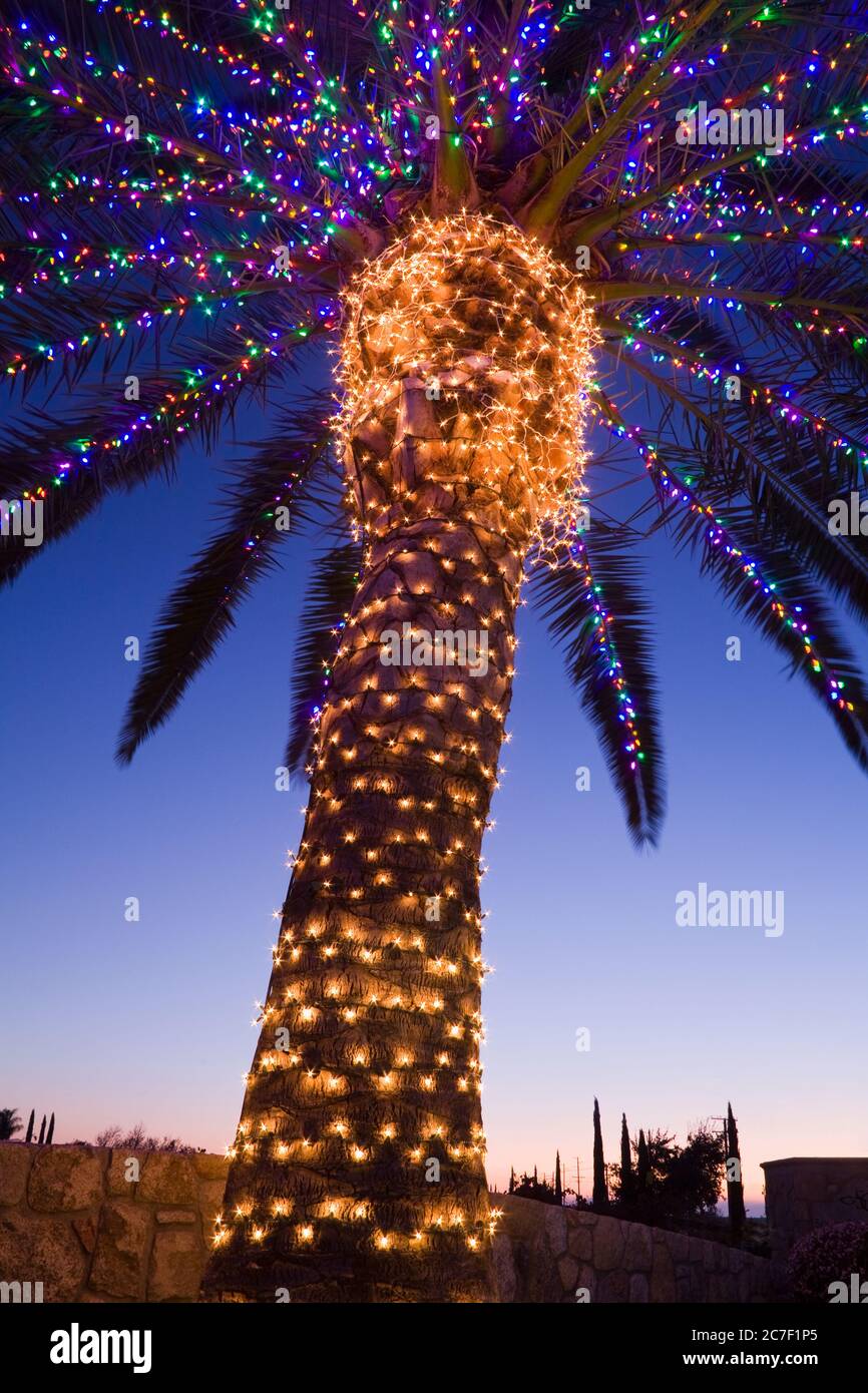 Weihnachtsbeleuchtung in der South Coast Winery, Temecula Valley Wine Country, Südkalifornien, USA Stockfoto