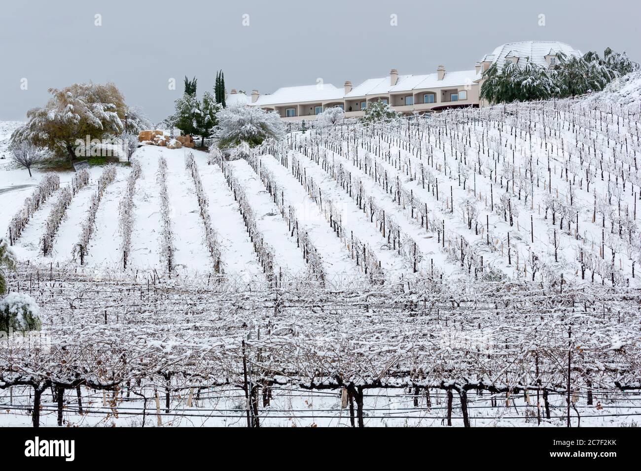 Churon Winery, Temecula Valley, Südkalifornien, USA Stockfoto