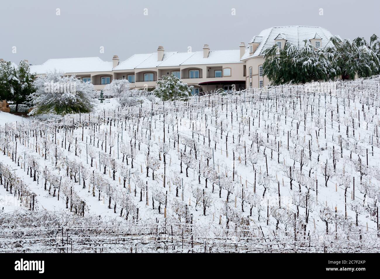 Churon Winery, Temecula Valley, Südkalifornien, USA Stockfoto