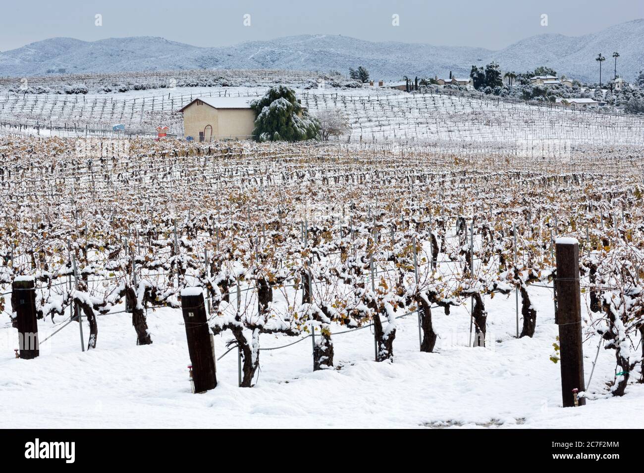 Maurice Carrie Winery, Temecula Valley, Südkalifornien, USA Stockfoto