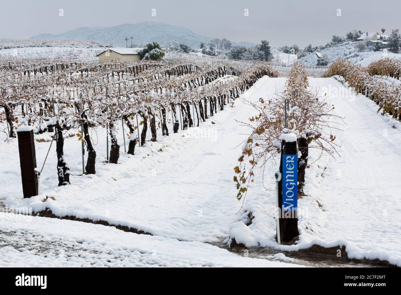 Maurice Carrie Winery, Temecula Valley, Südkalifornien, USA Stockfoto