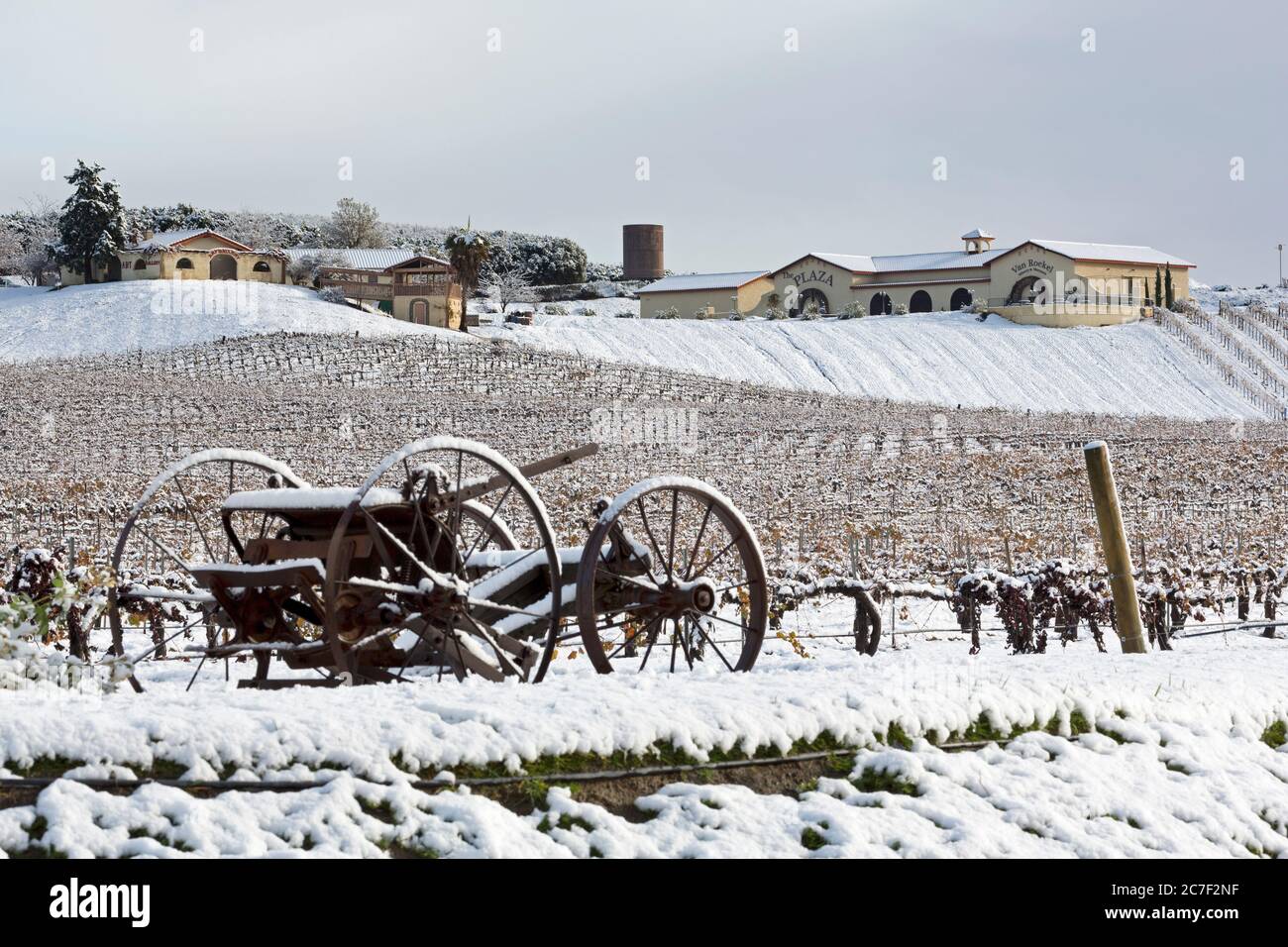 Maurice Carrie Winery, Temecula Valley, Südkalifornien, USA Stockfoto