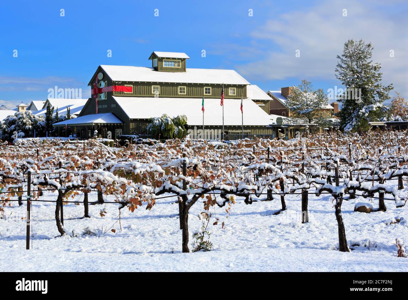 Ponte Winery, Temecula Valley, Südkalifornien, USA Stockfoto