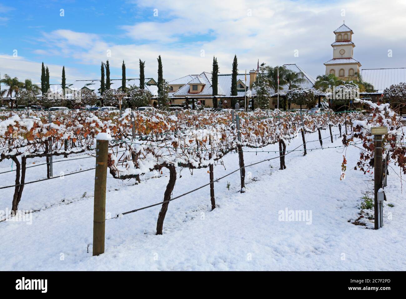 South Coast Winery, Temecula Valley, Südkalifornien, USA Stockfoto