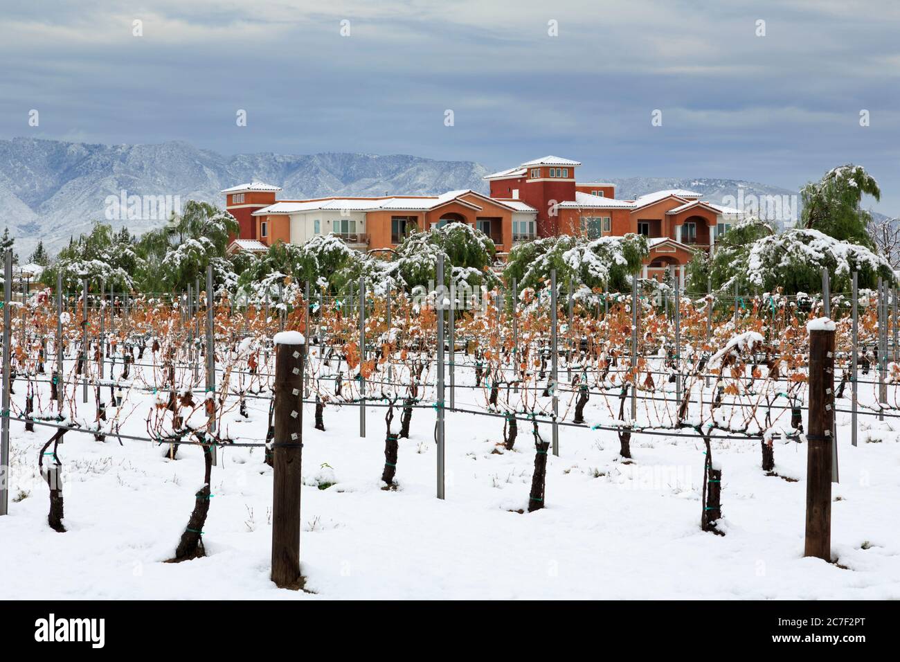 South Coast Winery, Temecula Valley, Südkalifornien, USA Stockfoto