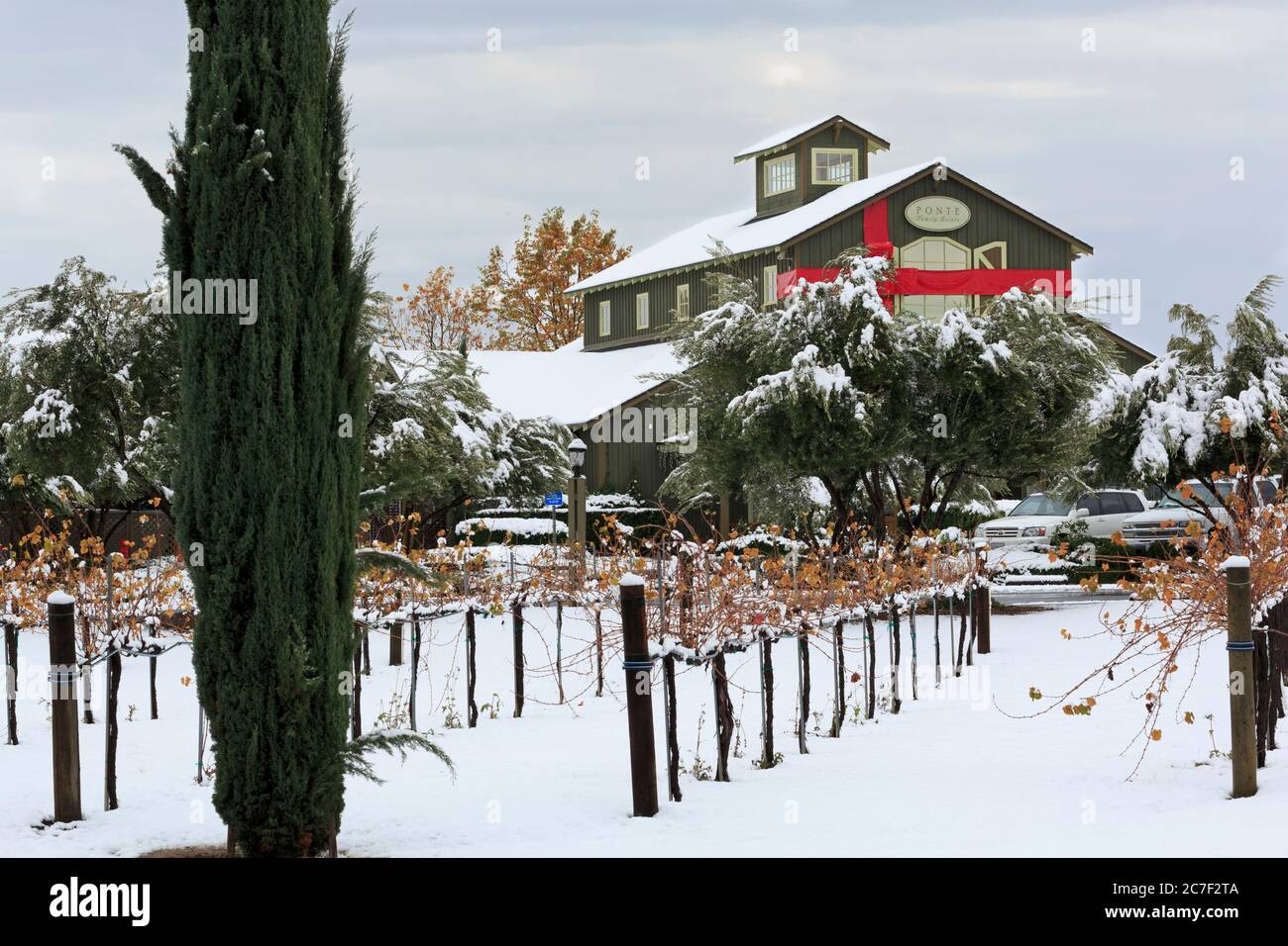 Ponte Winery, Temecula Valley, Südkalifornien, USA Stockfoto