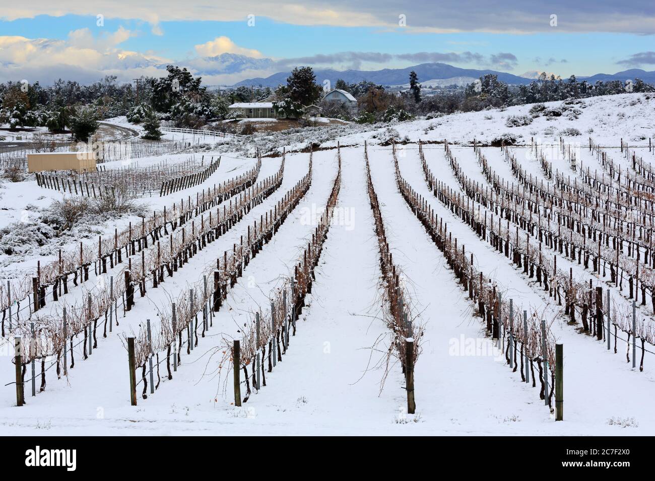 Wilson Creek Winery, Temecula Valley, Südkalifornien, USA Stockfoto
