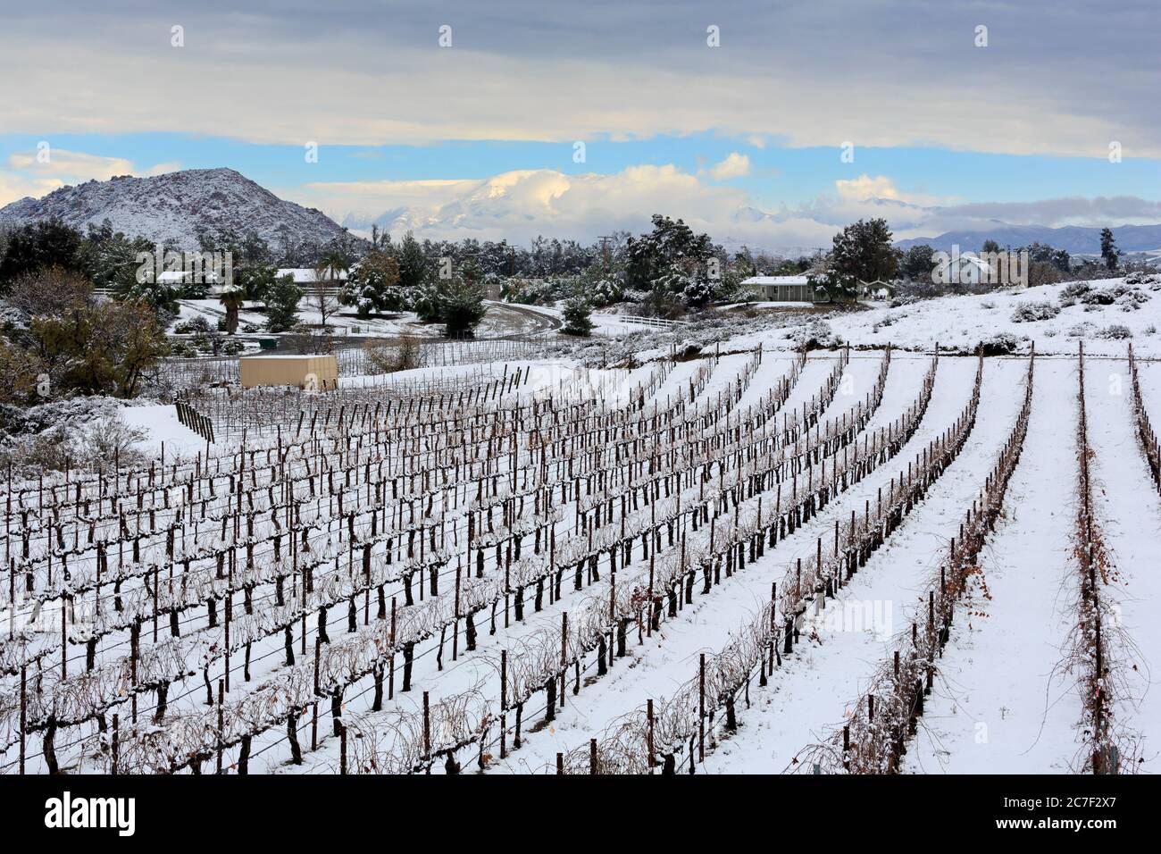 Wilson Creek Winery, Temecula Valley, Südkalifornien, USA Stockfoto