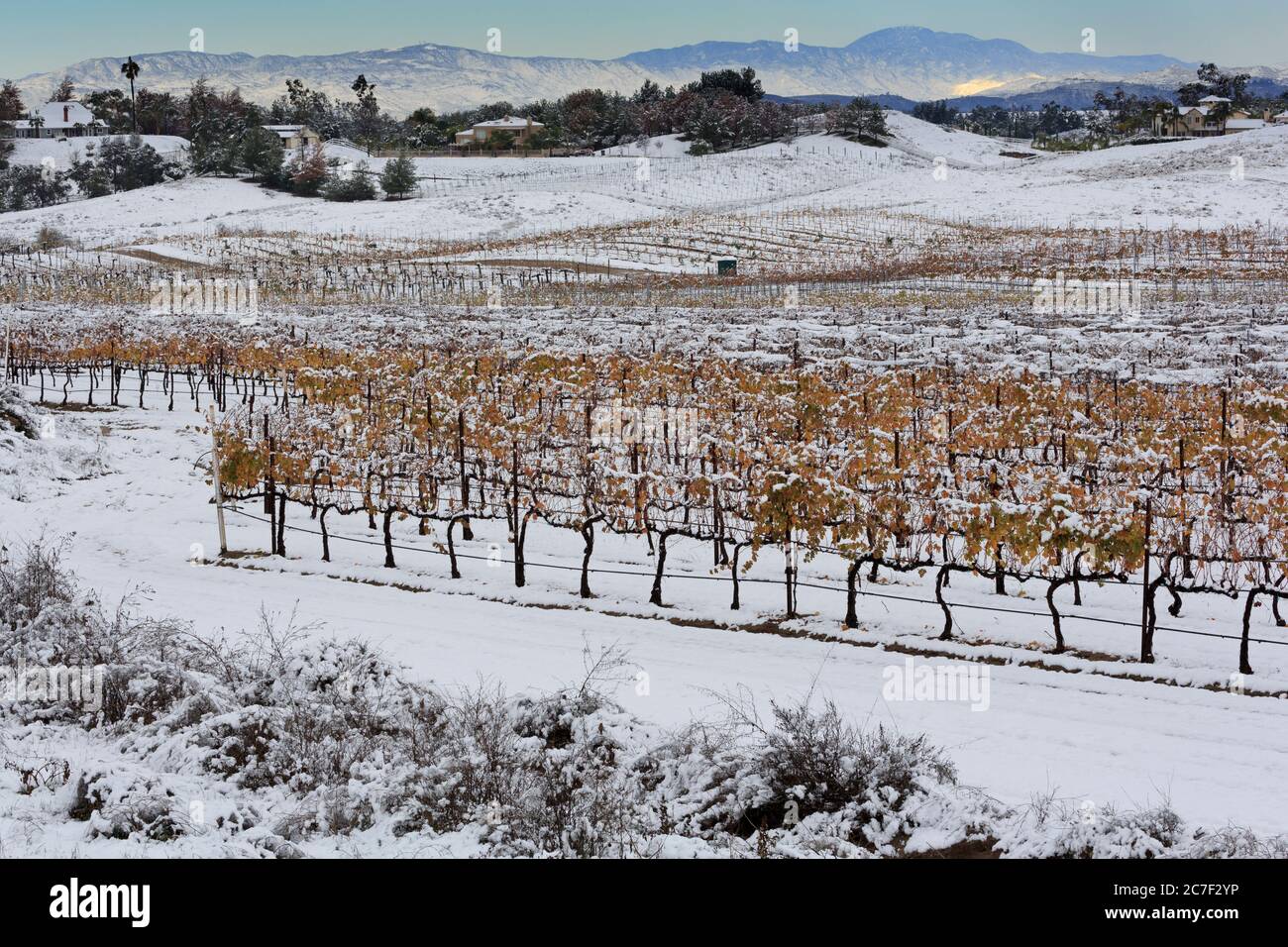 Danza Del Sol Weingut, Temecula Valley, Kalifornien, USA Stockfoto