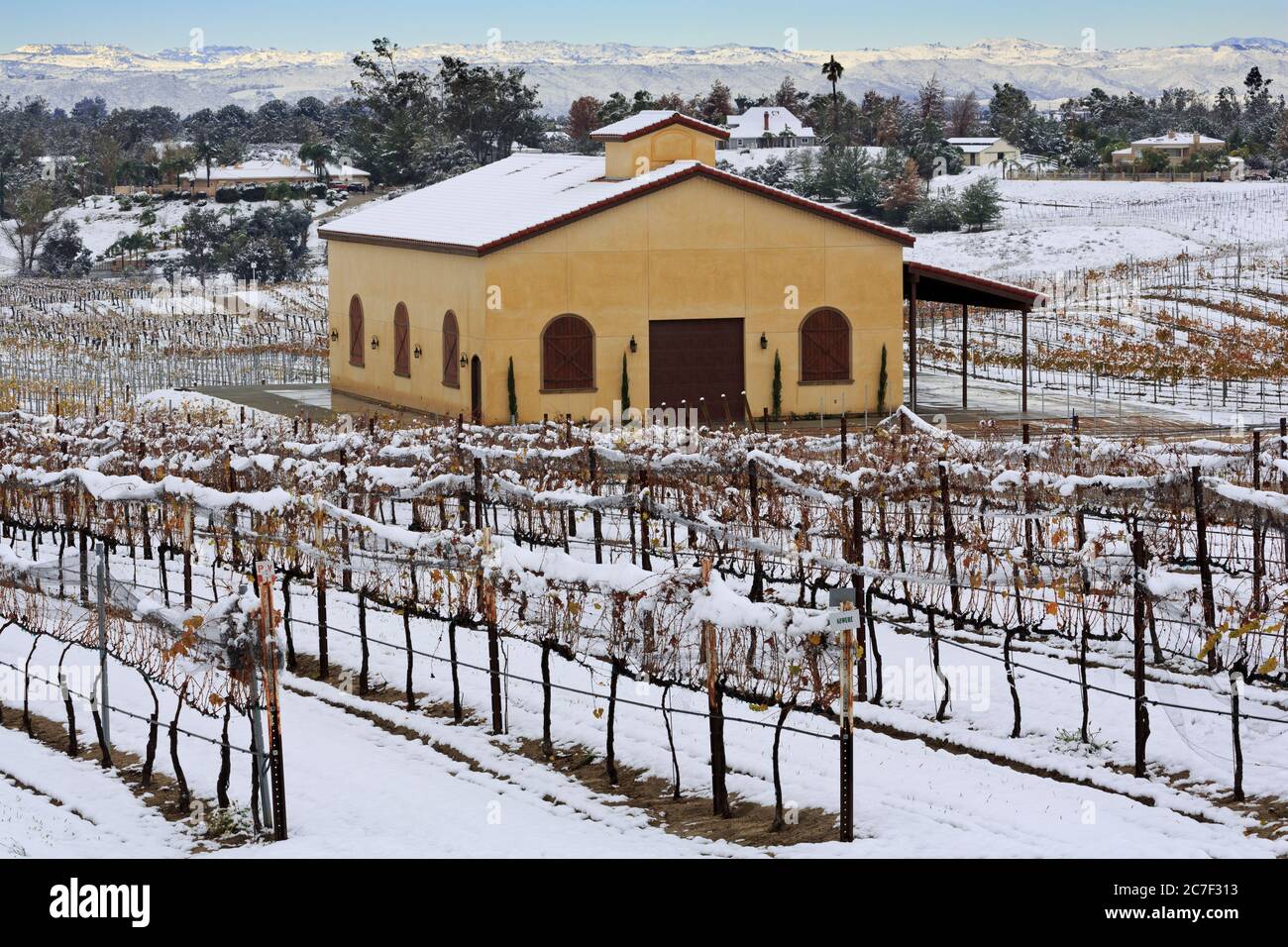 Danza Del Sol Weingut, Temecula Valley, Kalifornien, USA Stockfoto