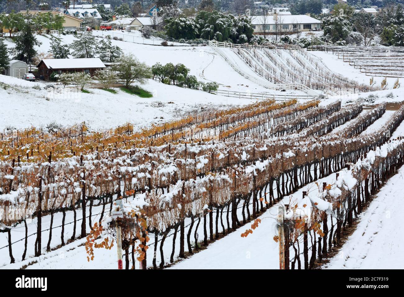 Danza Del Sol Weingut, Temecula Valley, Kalifornien, USA Stockfoto