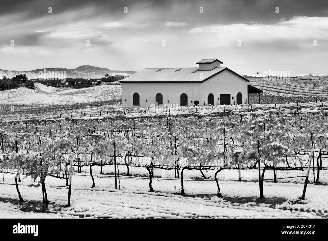 Danza Del Sol Weingut, Temecula Valley, Kalifornien, USA Stockfoto