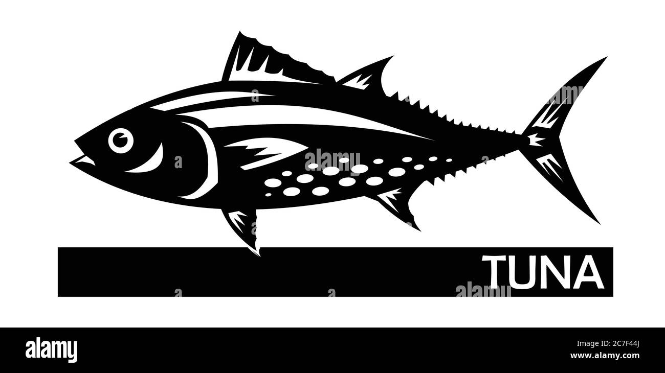 Thunfisch ist eine Makrelenart. Tunika. Thunnus. Fisch für Etiketten, Logo, Verpackung. Thunfischfang. Thunfisch im Atlantik oder Pazifik. Familie Scombridae. Stock Vektor