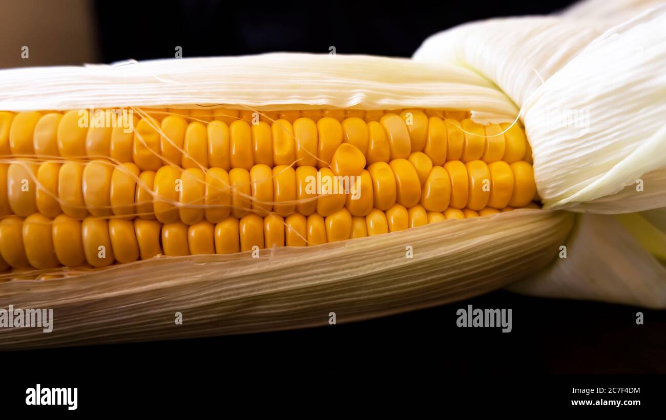 Ein Schuss von frischem rohem Mais Mais und Blätter auf horizontalen Lebensmitteln Stockfoto
